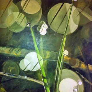 Morgentau auf Gräsern